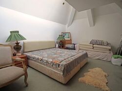 Braddell Heights Estate (D13), Detached #563318961